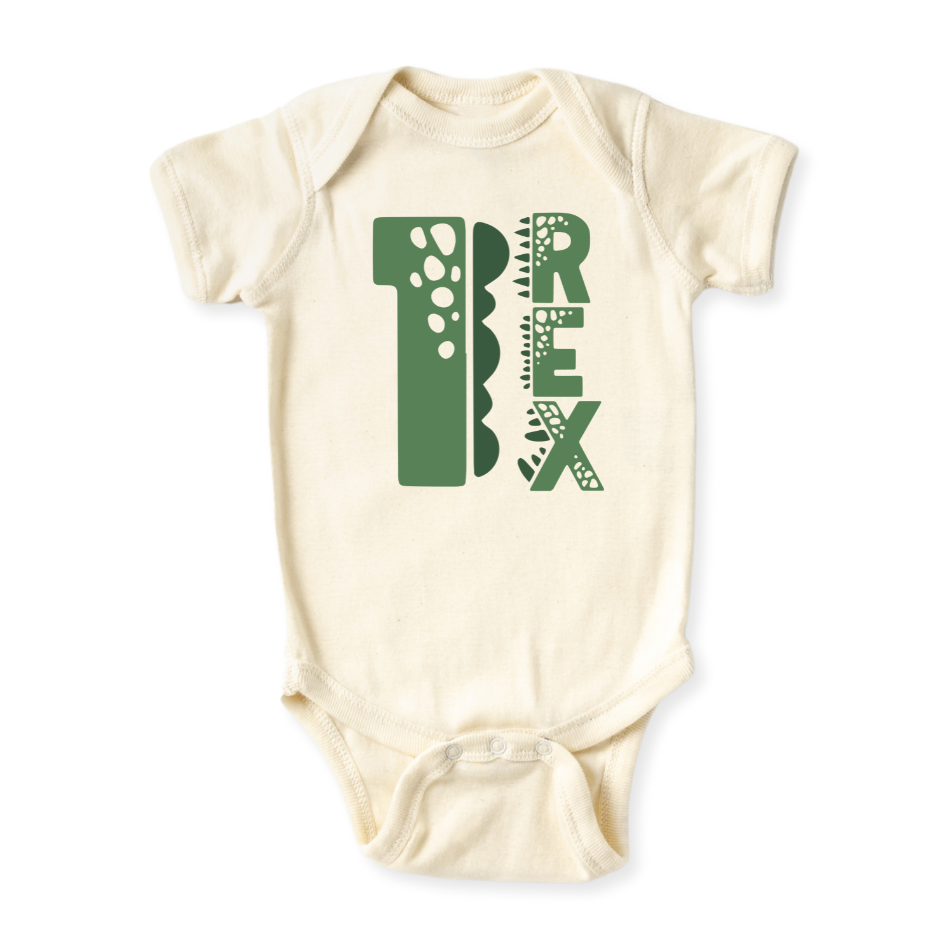 1 Rex Dinosaur Tshirt Kids Tee Toddler Shirt Jurassic Dino Graphic Tee Boys Girls Dinosaur Themed Kids Clothing 1st Birthday I'm One 1 year Old Birthday Gift 1 Birthday gift Baby Boy Tyrannosaurus