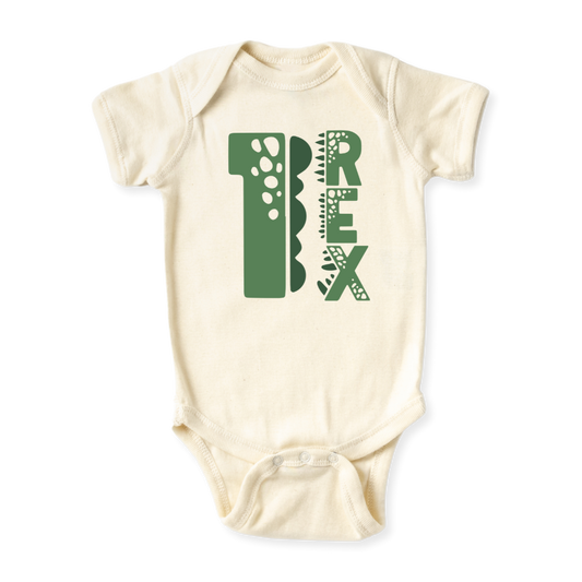 1 Rex Dinosaur Tshirt Kids Tee Toddler Shirt Jurassic Dino Graphic Tee Boys Girls Dinosaur Themed Kids Clothing 1st Birthday I'm One 1 year Old Birthday Gift 1 Birthday gift Baby Boy Tyrannosaurus