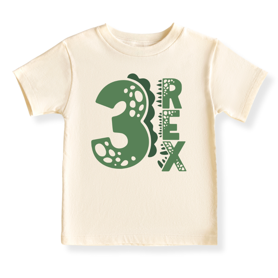 Three Rex Brithday Tshirt for Kids, 3rd Birthday Outfit for Boys Shirt, Dinosaur Tshirt T-Rex Tee