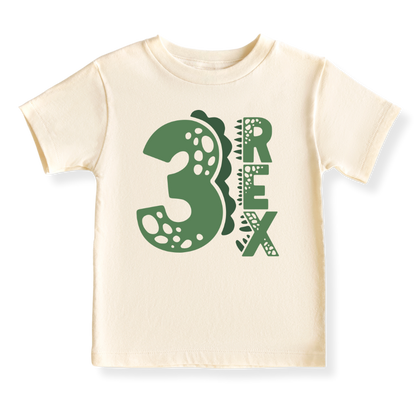 Three Rex Brithday Tshirt for Kids, 3rd Birthday Outfit for Boys Shirt, Dinosaur Tshirt T-Rex Tee