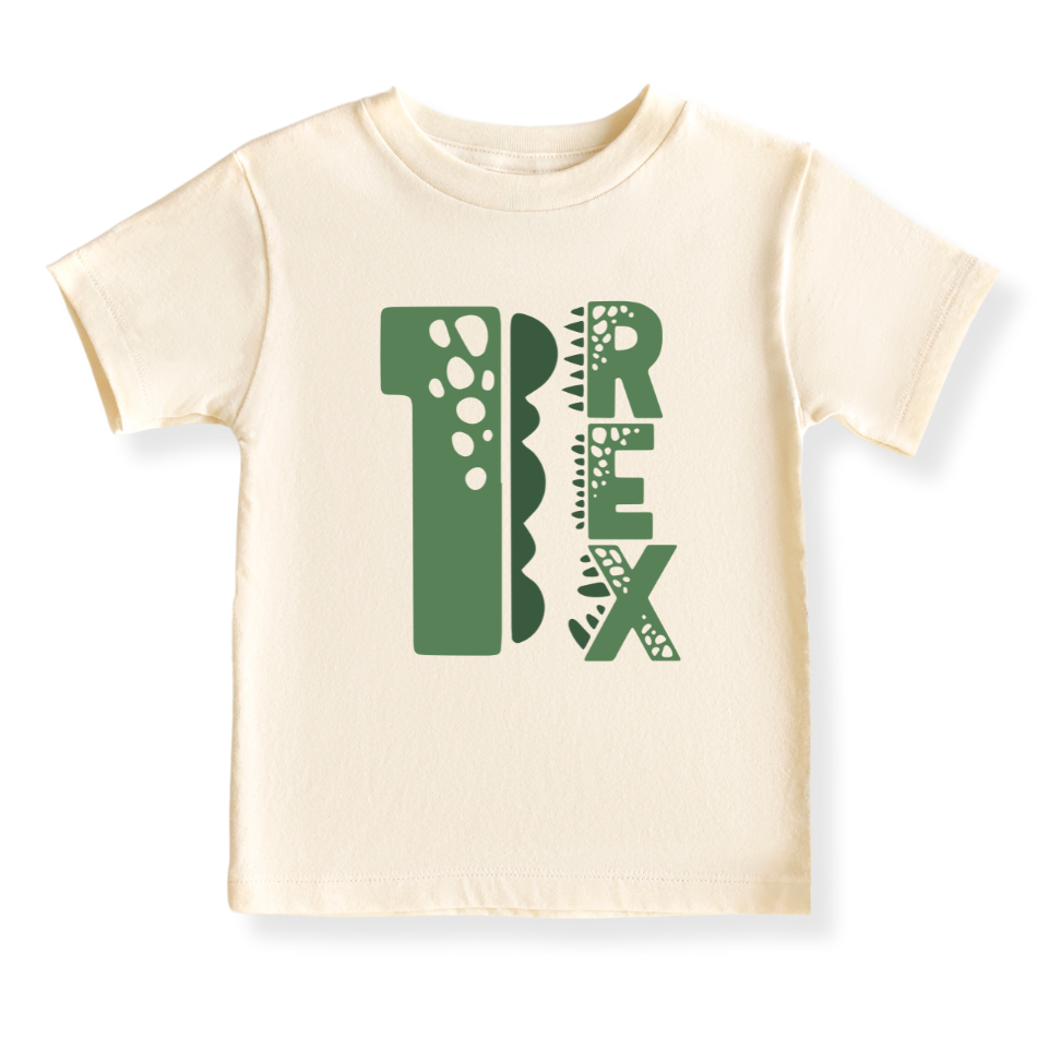 One Rex Brithday Baby Bodysuit Tshirt for Kids, 2nd Birthday Outfit for Boys Shirt, Dinosaur Tshirt T-Rex