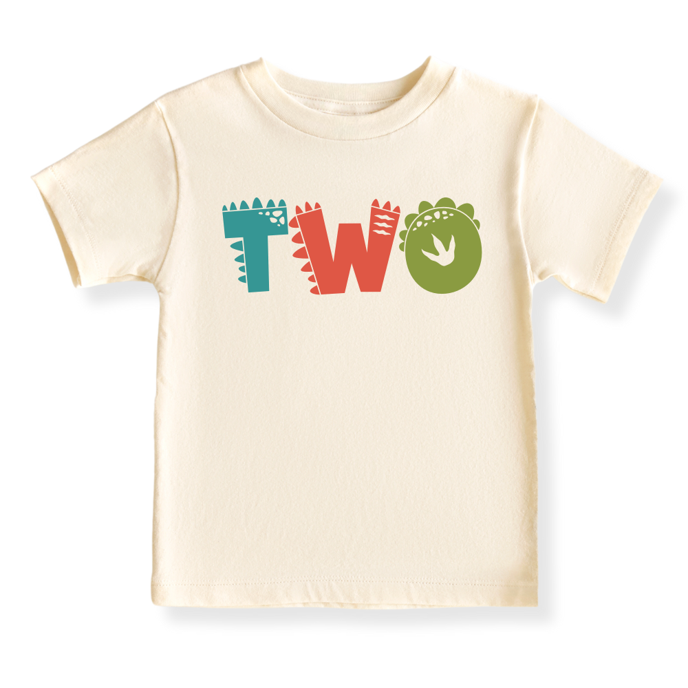 Dinosaur birthday outfit 2nd birthday dinosaur shirt Dinosaur second birthday Two years old dinosaur shirt Cute dinosaur birthday outfit Dinosaur birthday gift outfit for boys girls Dinosaur birthday party outfit Dino-themed birthday shirt