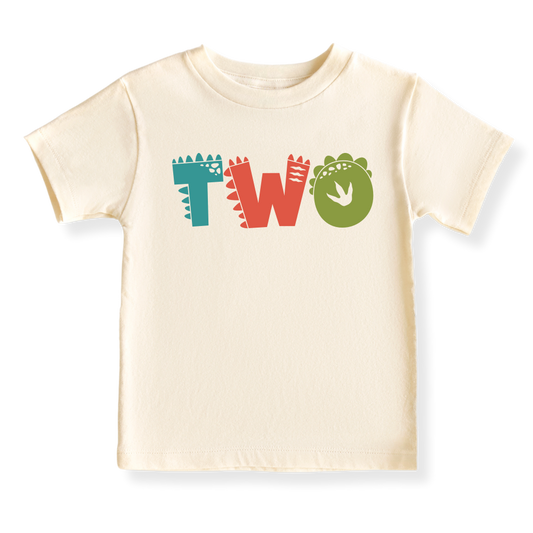 Dinosaur birthday outfit 2nd birthday dinosaur shirt Dinosaur second birthday Two years old dinosaur shirt Cute dinosaur birthday outfit Dinosaur birthday gift outfit for boys girls Dinosaur birthday party outfit Dino-themed birthday shirt